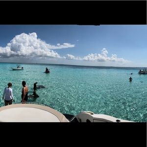 Meet your Posher, Marion